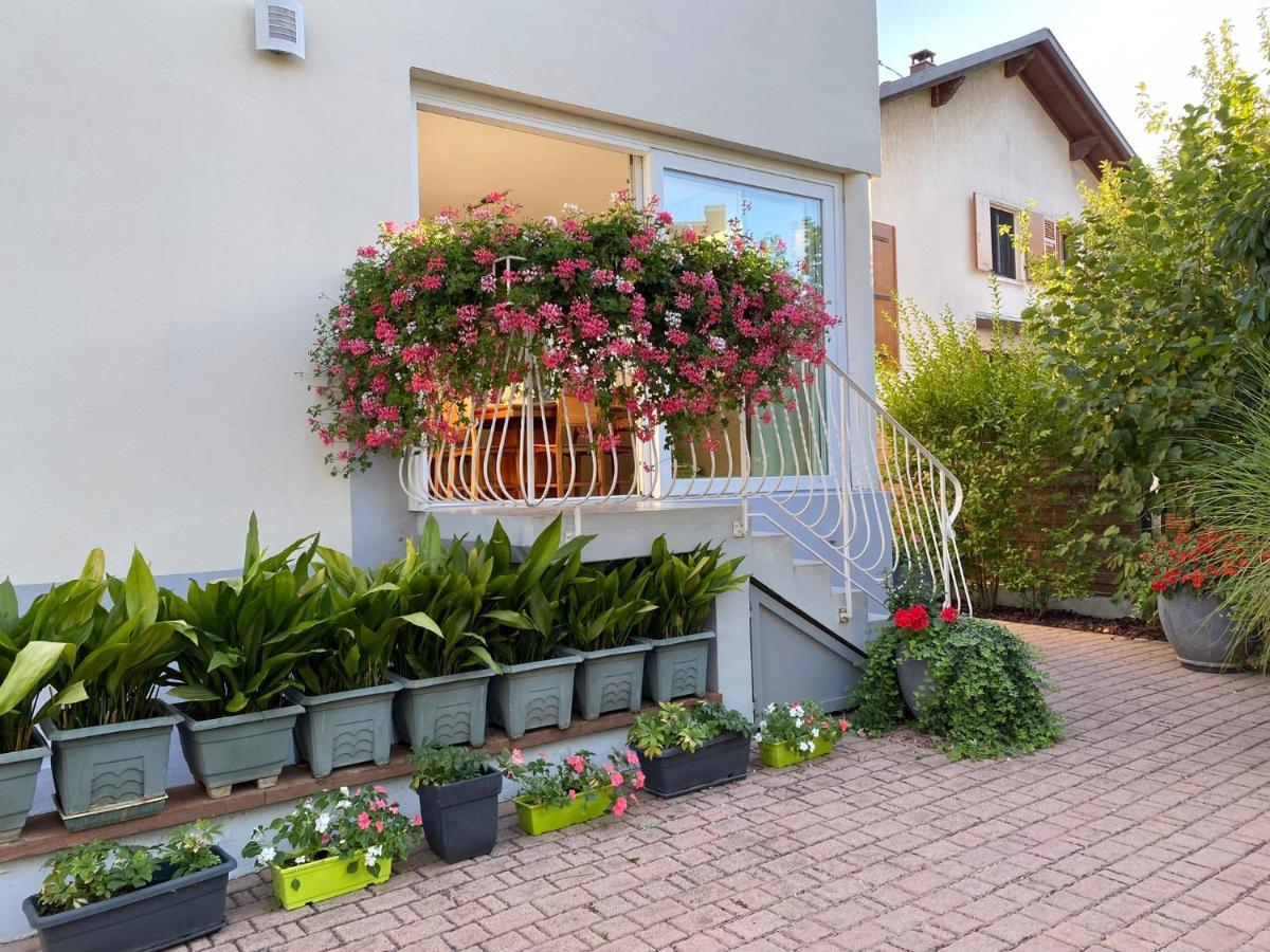 Appartement Le Jardin Линголсхайм Екстериор снимка