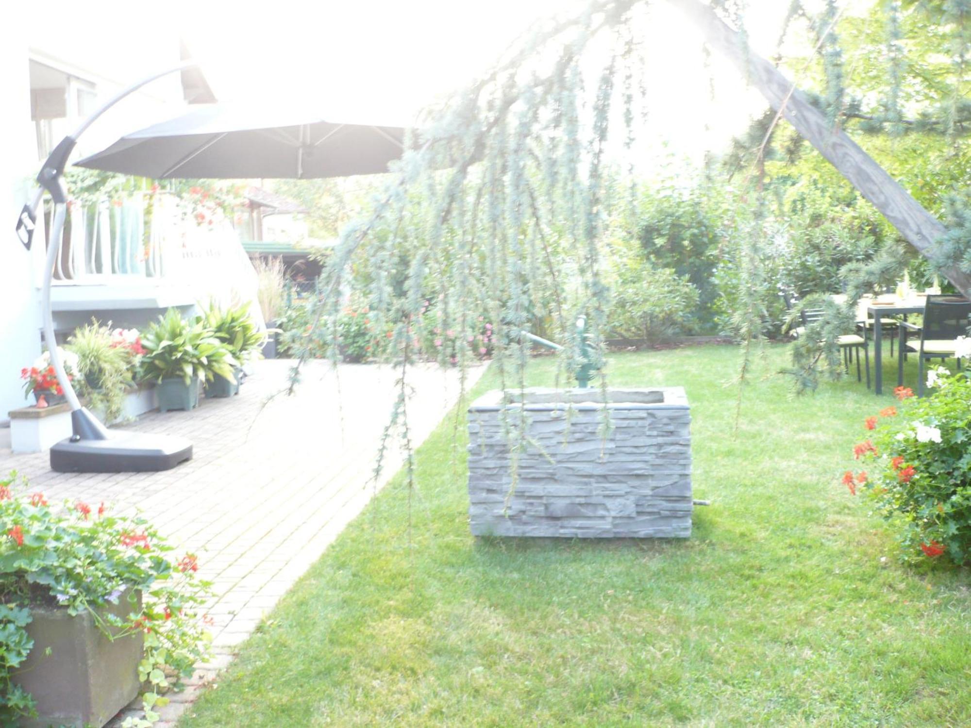 Appartement Le Jardin Линголсхайм Екстериор снимка
